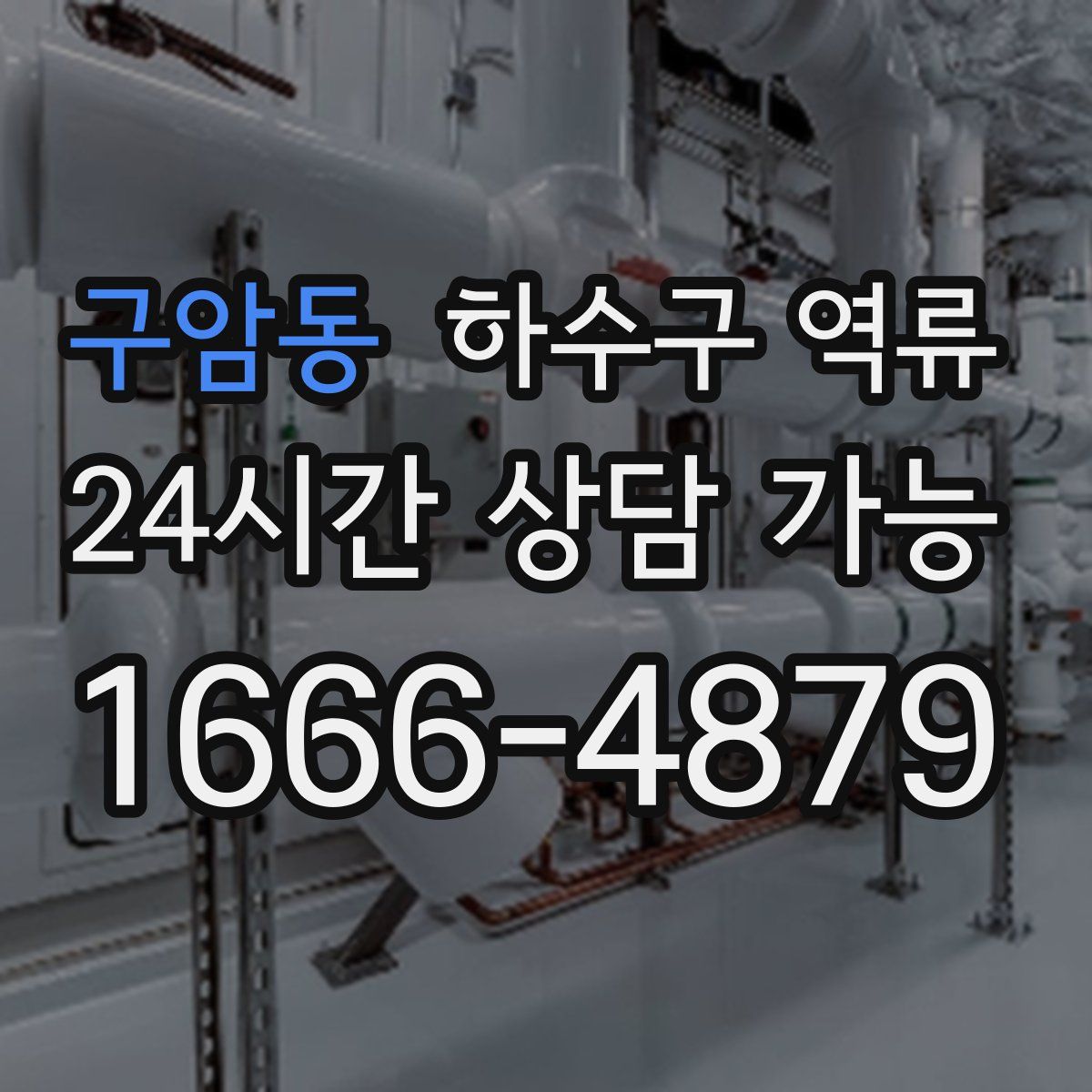 구암동 하수구 역류