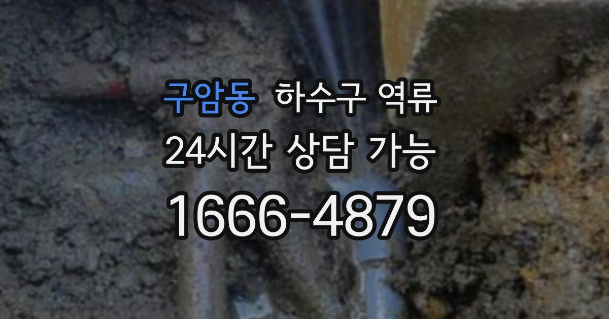 구암동 하수구 역류