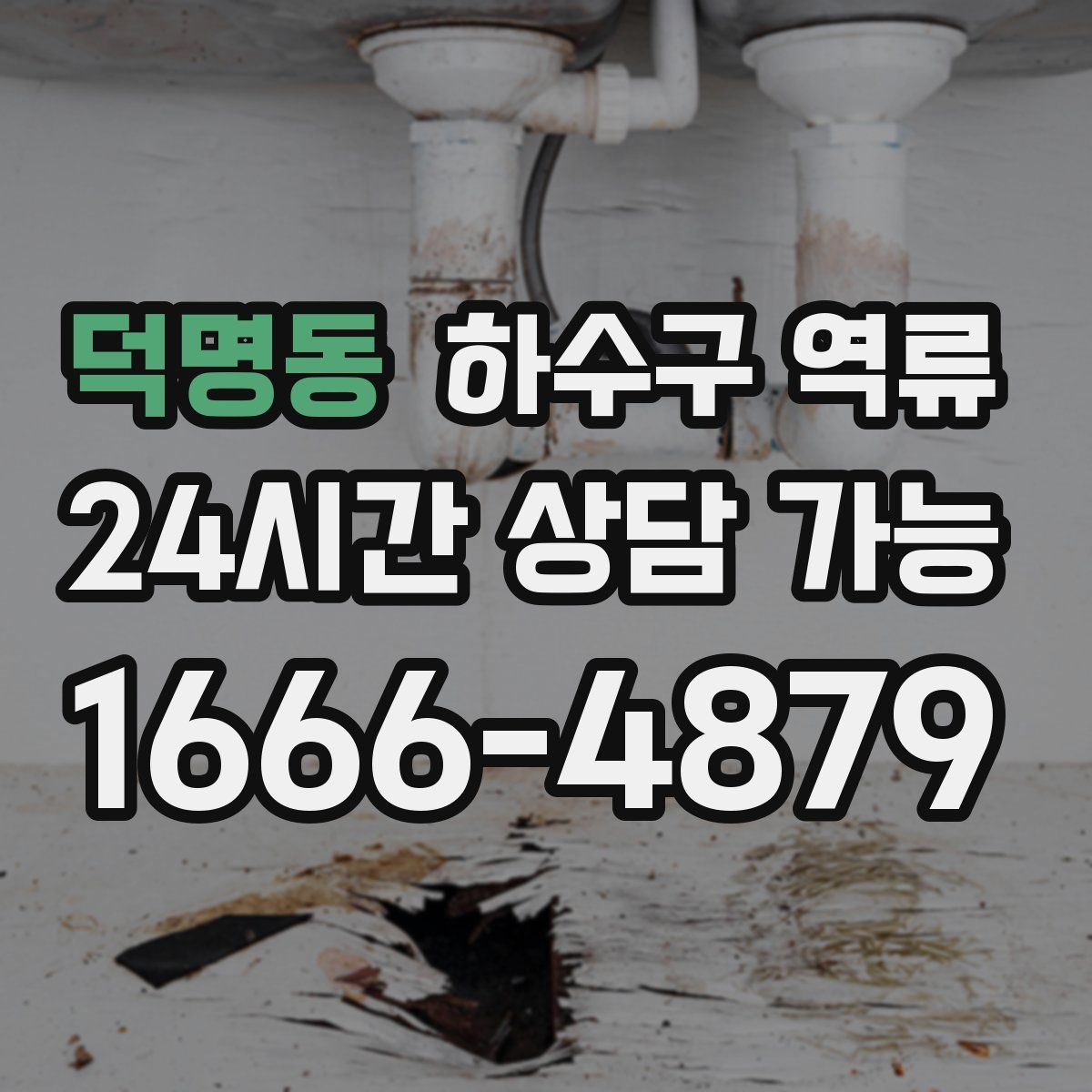 덕명동 하수구 역류
