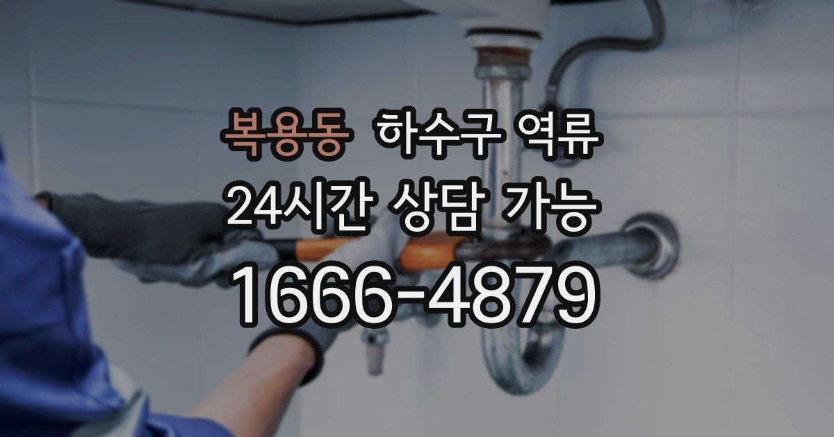복용동 하수구 역류