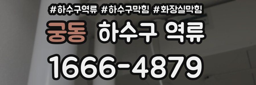 궁동 하수구 역류