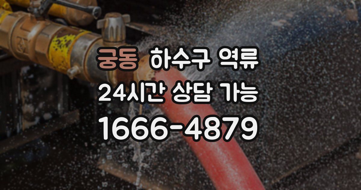 궁동 하수구 역류