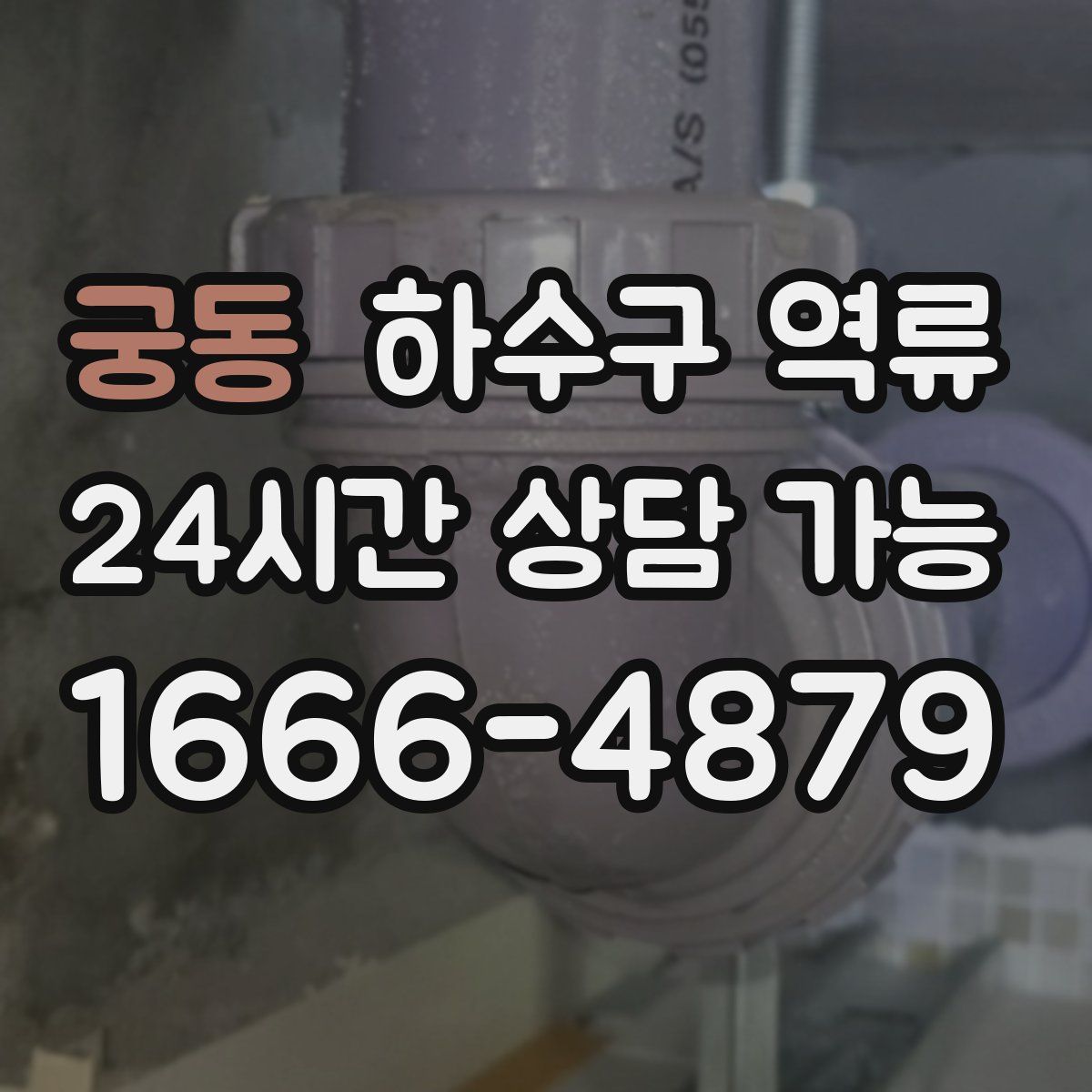 궁동 하수구 역류