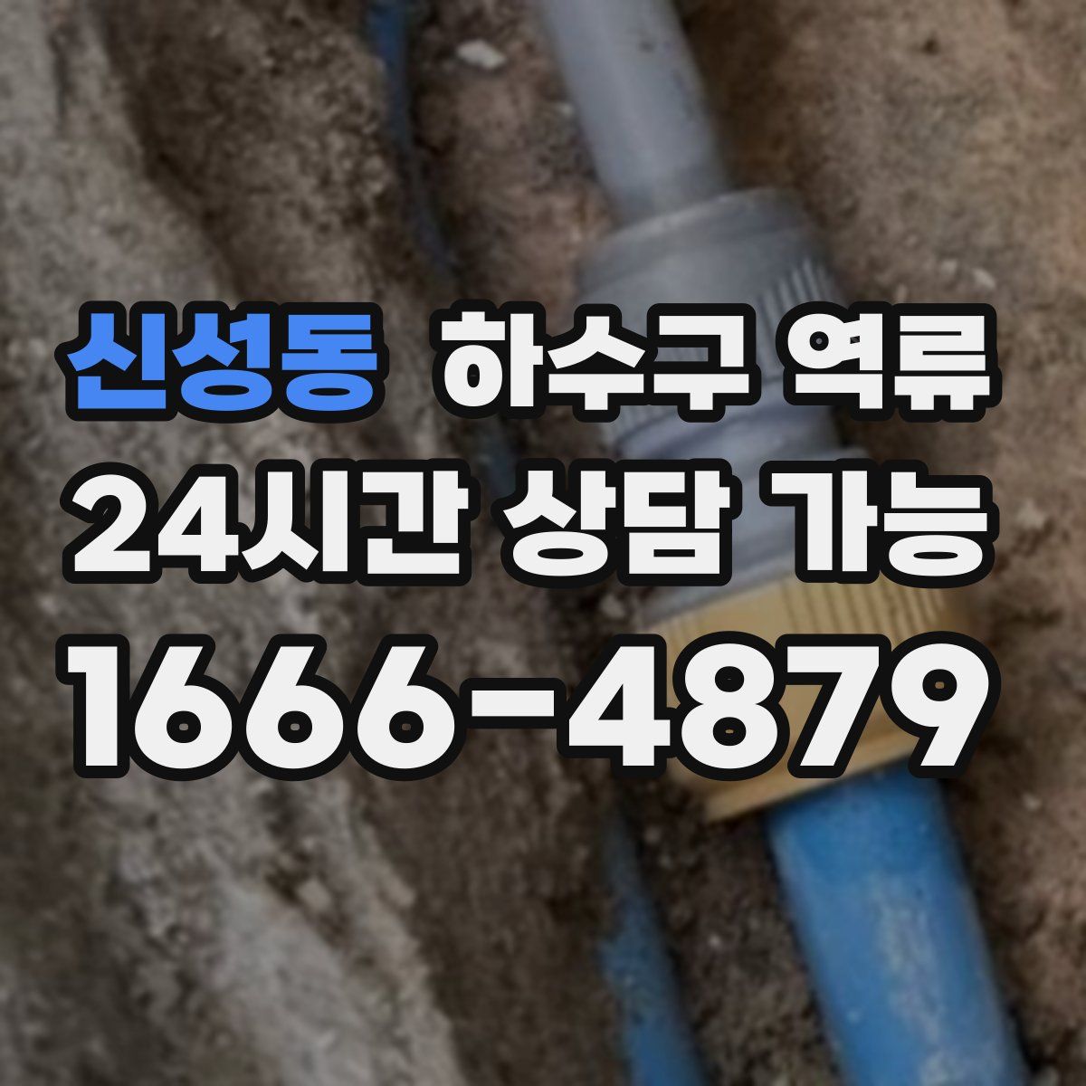 신성동 하수구 역류