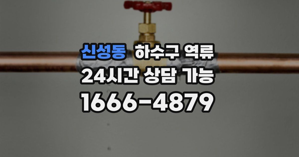 신성동 하수구 역류