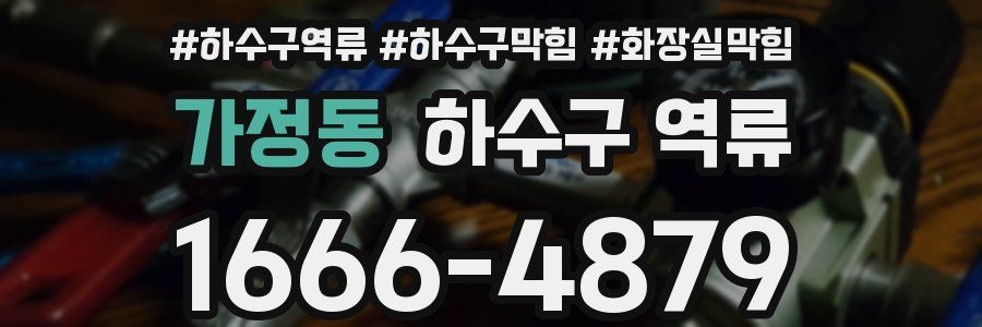 가정동 하수구 역류