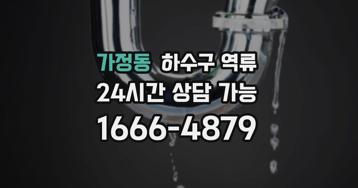 가정동 하수구 역류