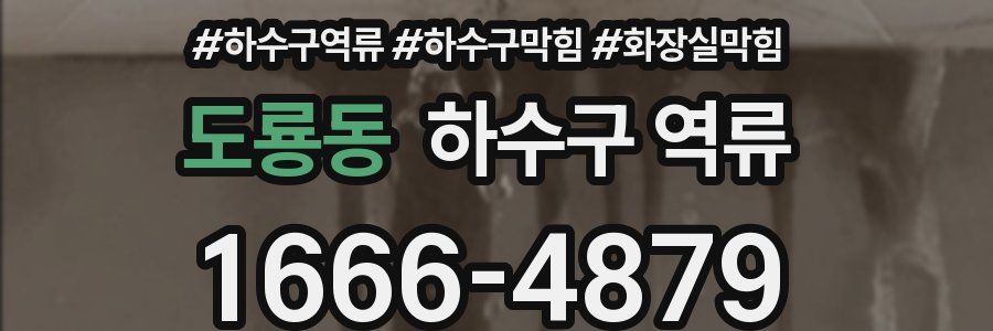 도룡동 하수구 역류