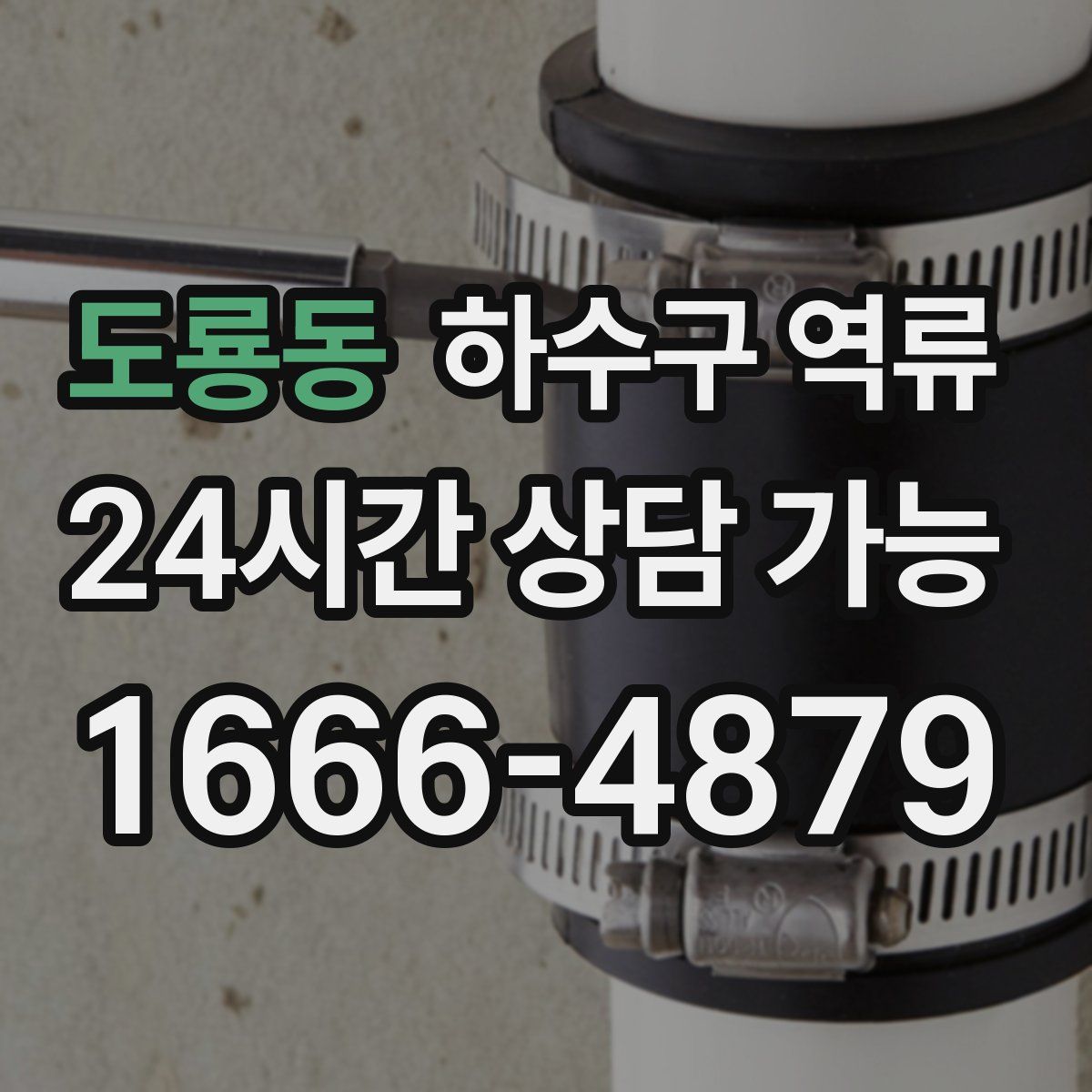 도룡동 하수구 역류