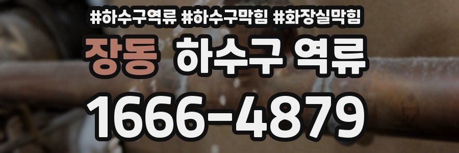 장동 하수구 역류