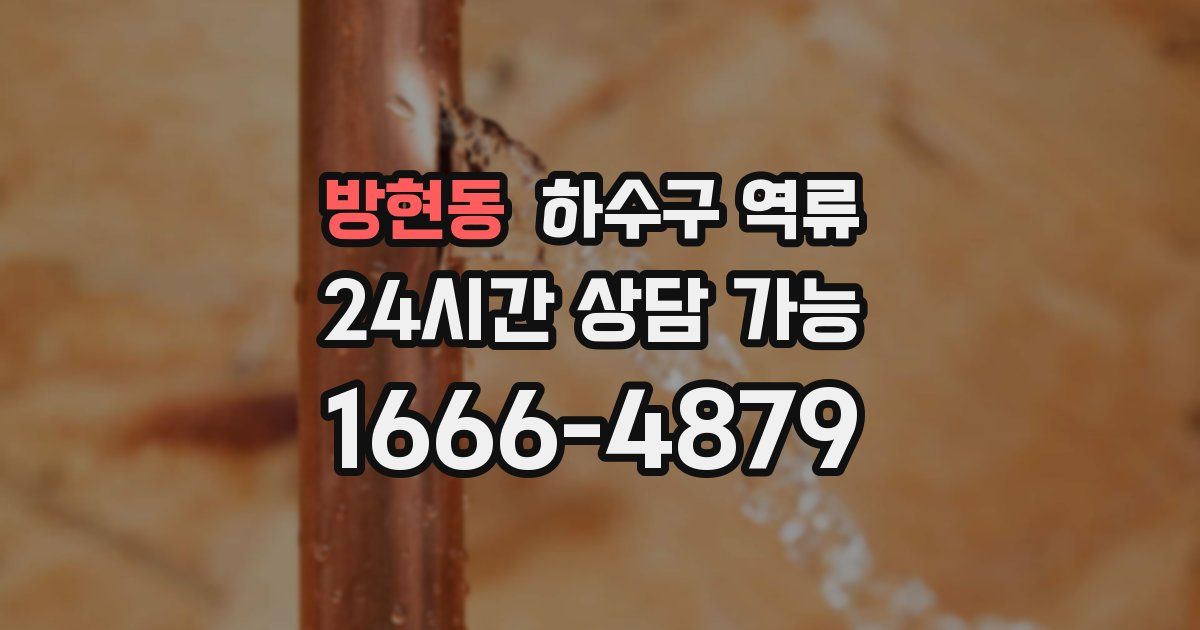 방현동 하수구 역류