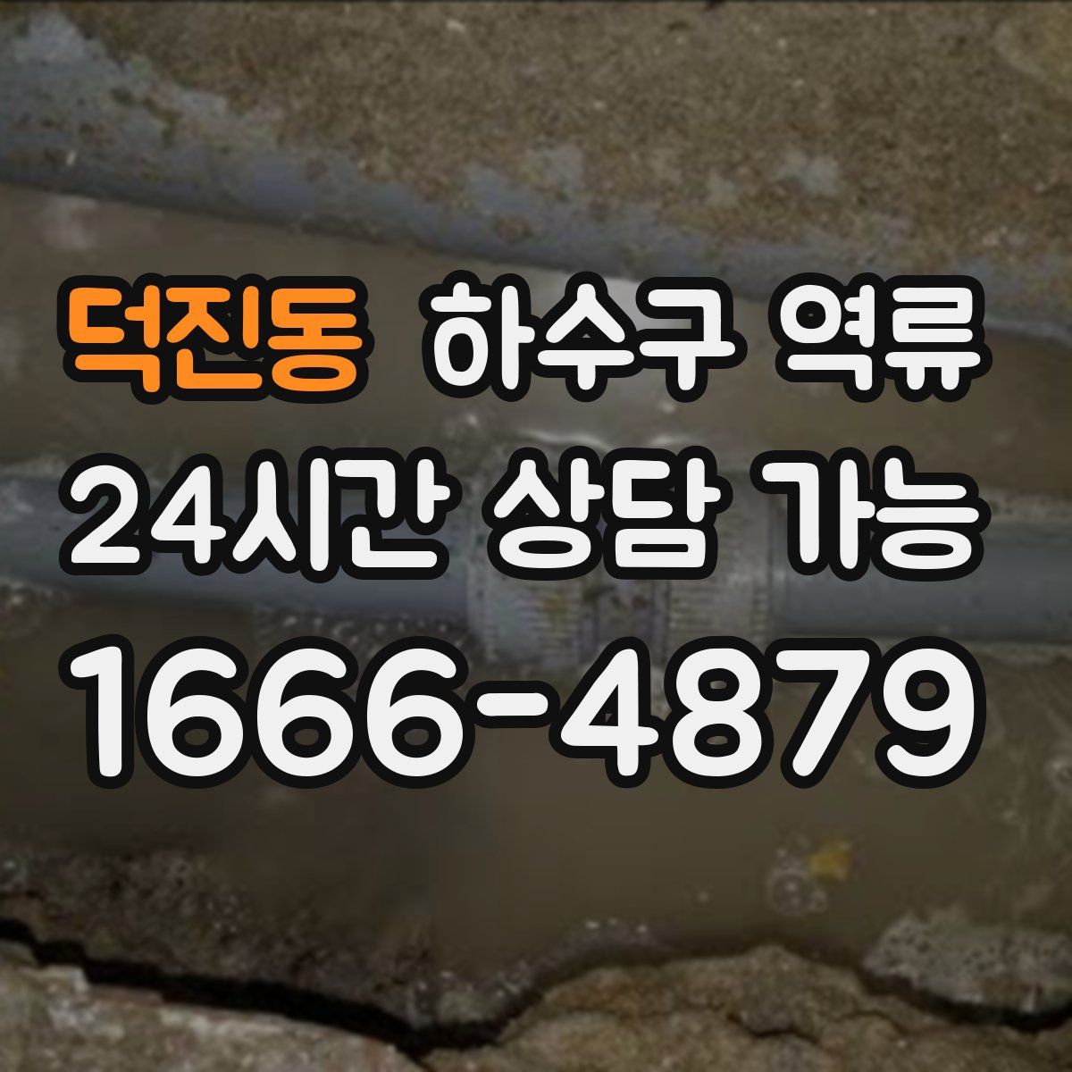 덕진동 하수구 역류