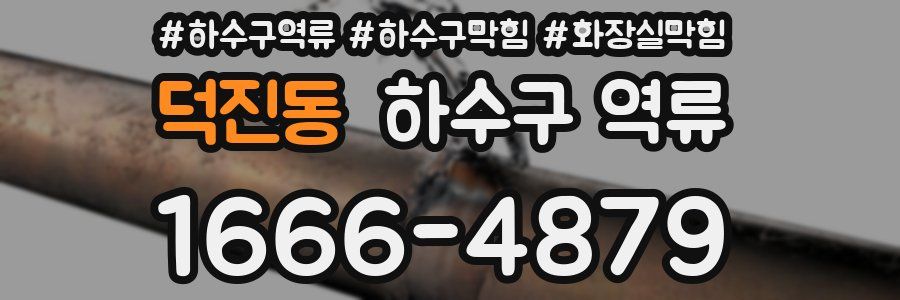 덕진동 하수구 역류