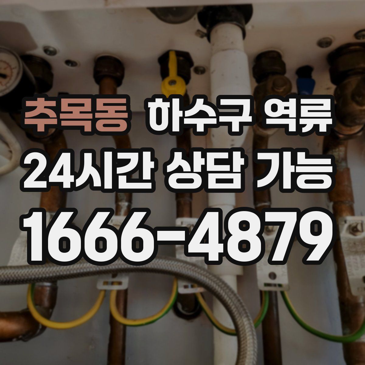 추목동 하수구 역류