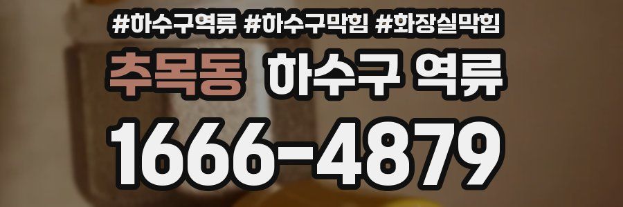 추목동 하수구 역류