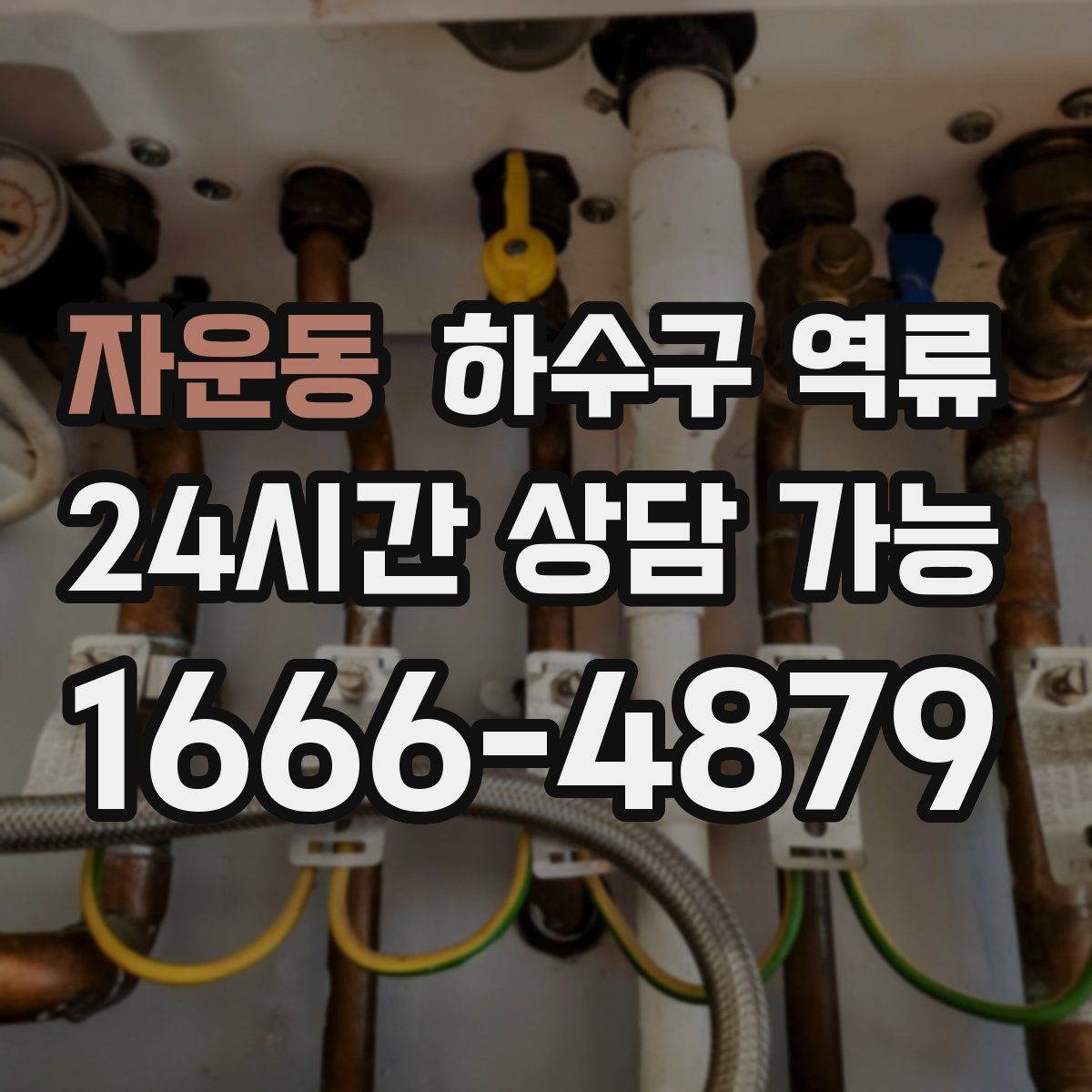 자운동 하수구 역류