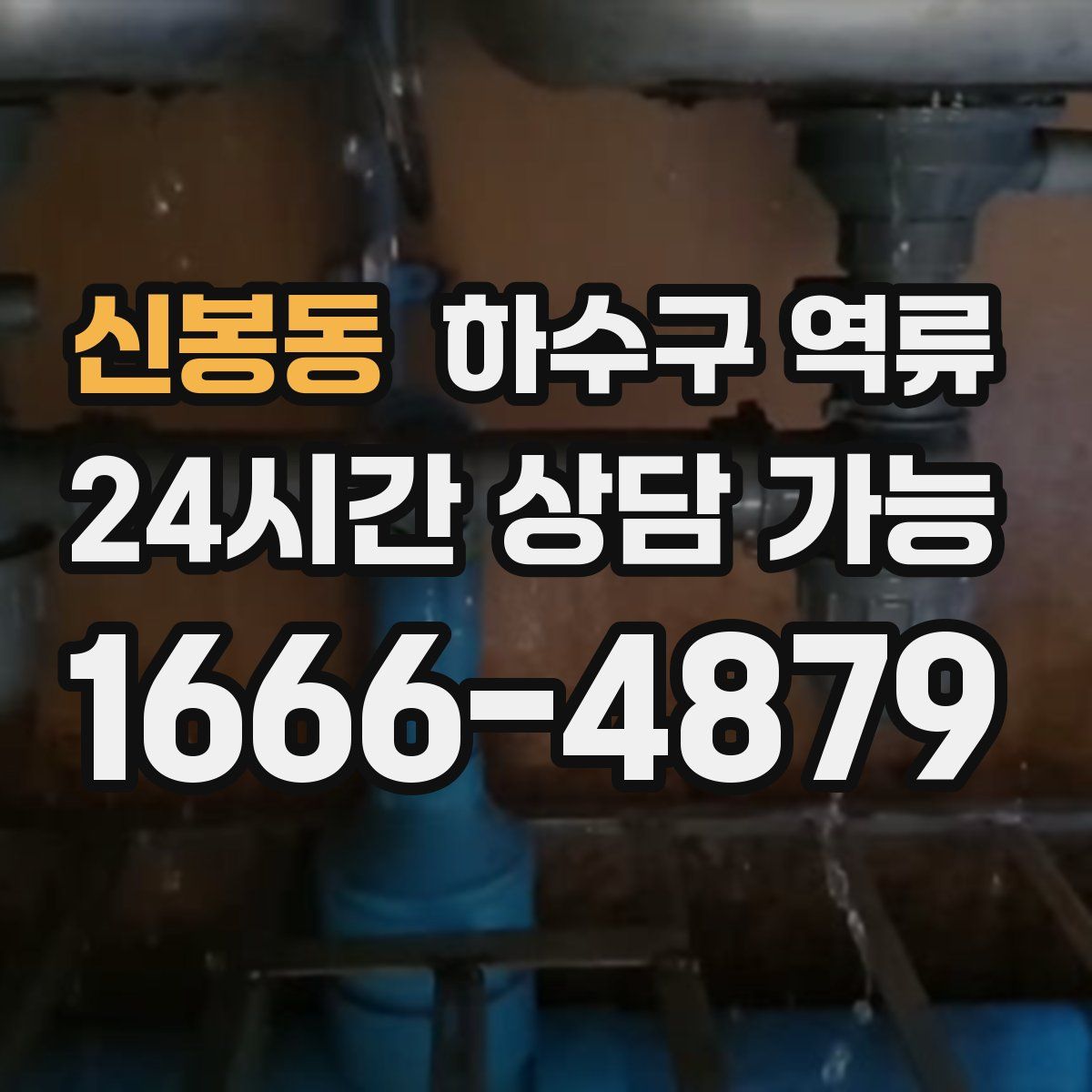 신봉동 하수구 역류