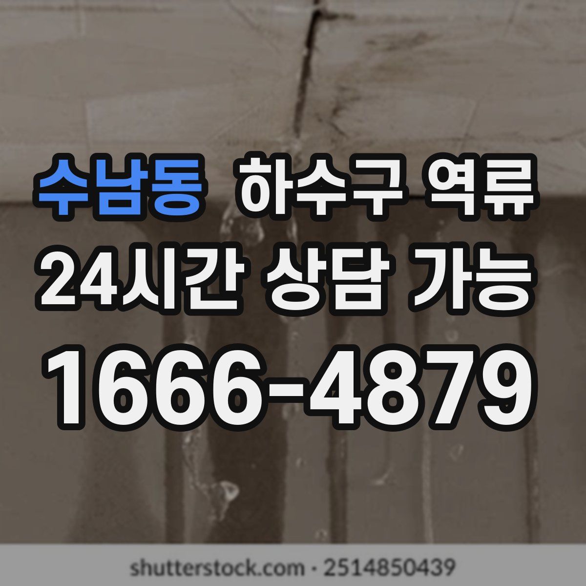 수남동 하수구 역류
