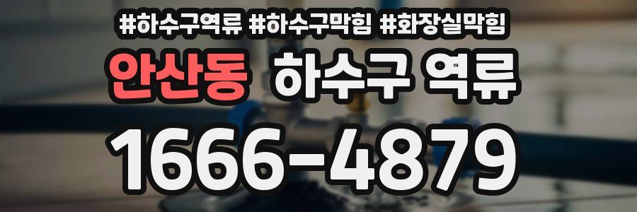 안산동 하수구 역류
