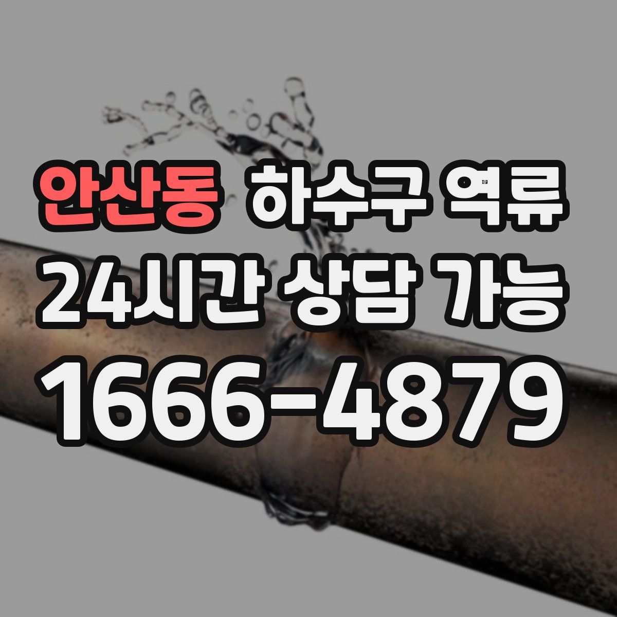 안산동 하수구 역류