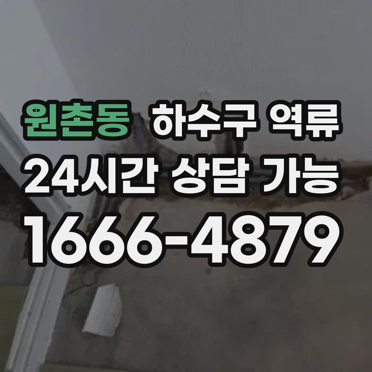 원촌동 하수구 역류