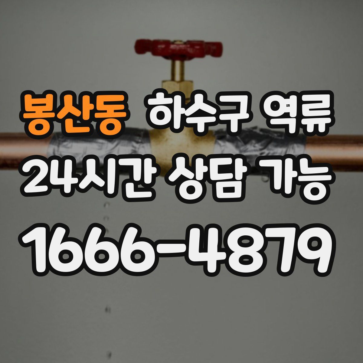 봉산동 하수구 역류