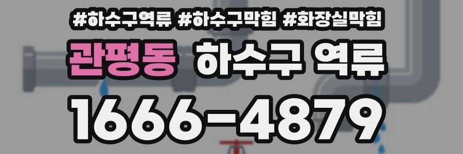 관평동 하수구 역류