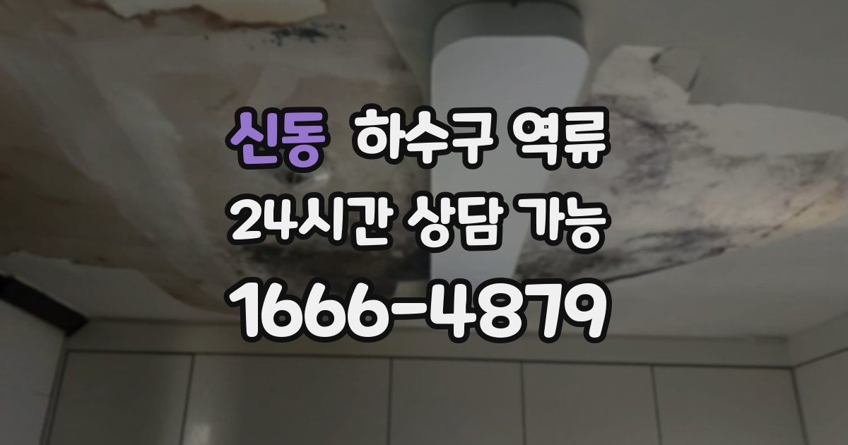 신동 하수구 역류