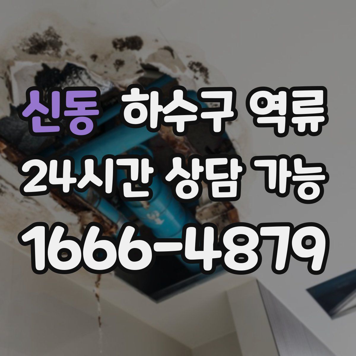 신동 하수구 역류