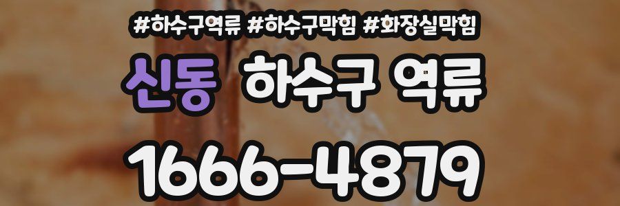 신동 하수구 역류