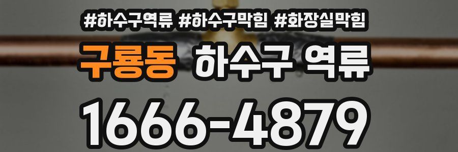 구룡동 하수구 역류