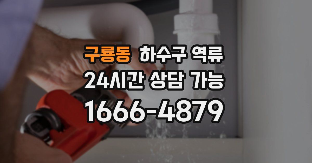 구룡동 하수구 역류