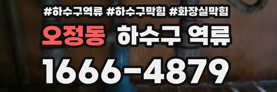 오정동 하수구 역류