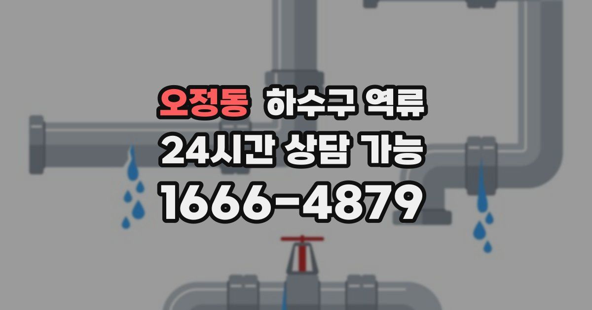 오정동 하수구 역류