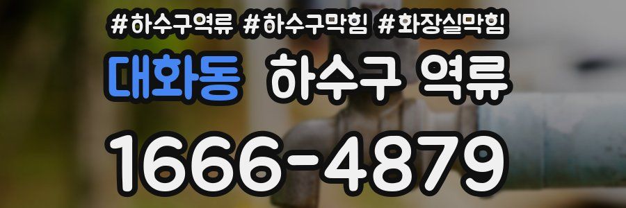 대화동 하수구 역류