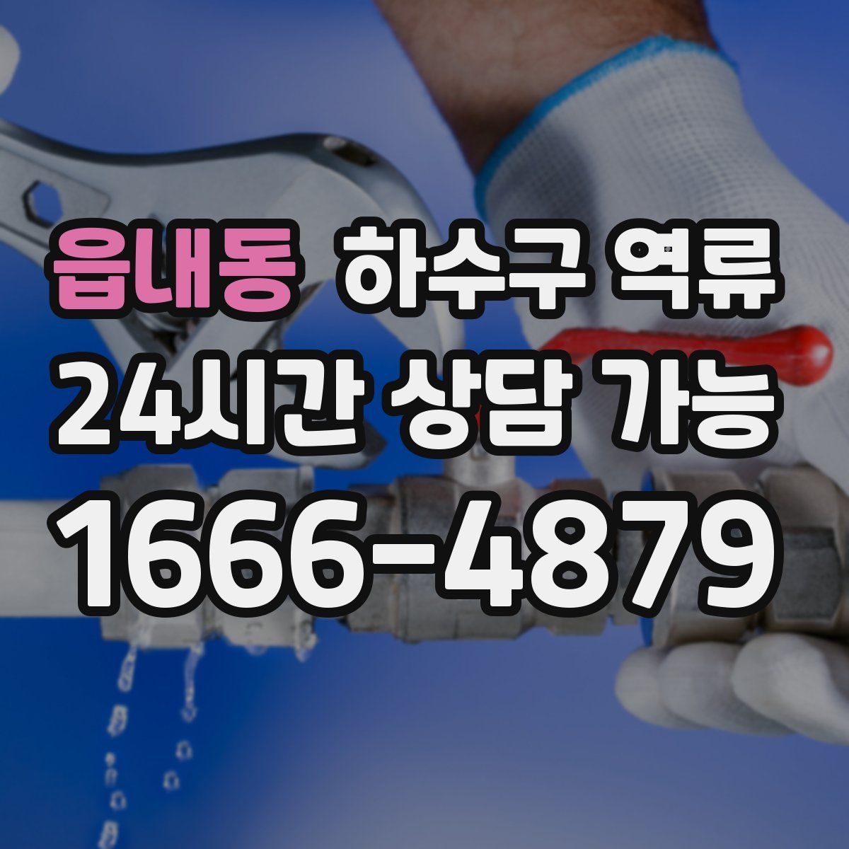 읍내동 하수구 역류