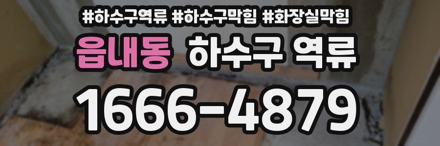 읍내동 하수구 역류