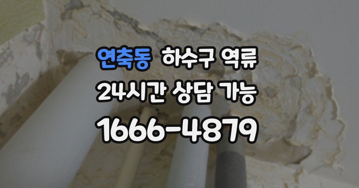 연축동 하수구 역류