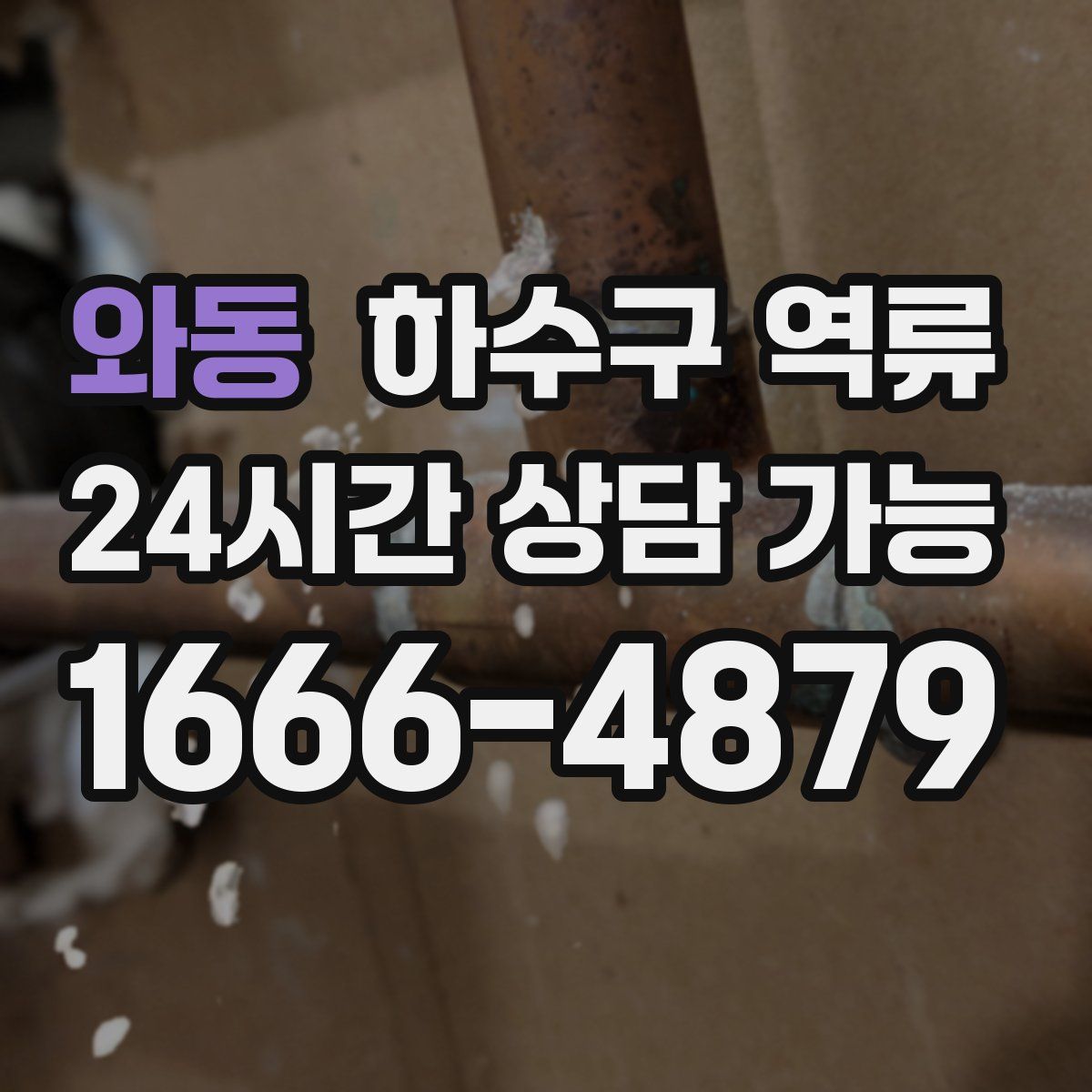 와동 하수구 역류