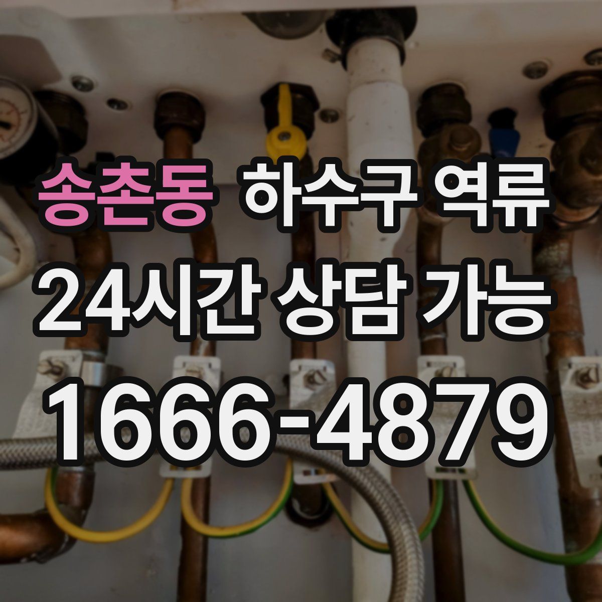 송촌동 하수구 역류