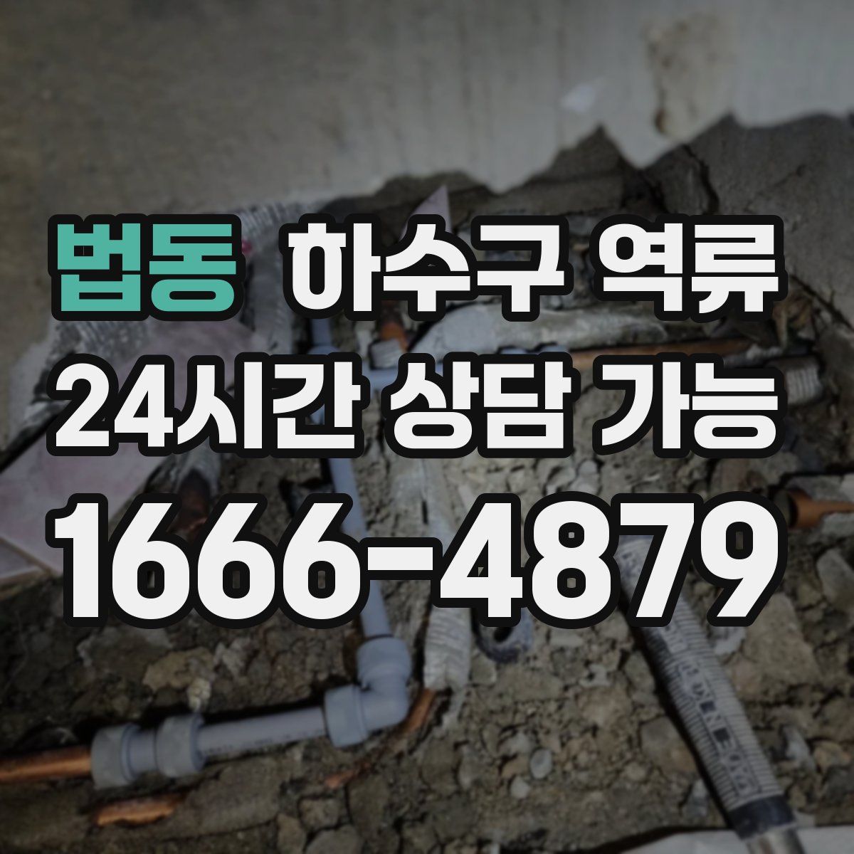 법동 하수구 역류