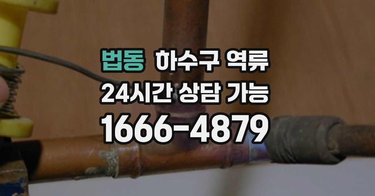 법동 하수구 역류