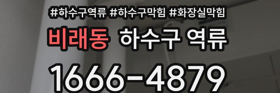 비래동 하수구 역류