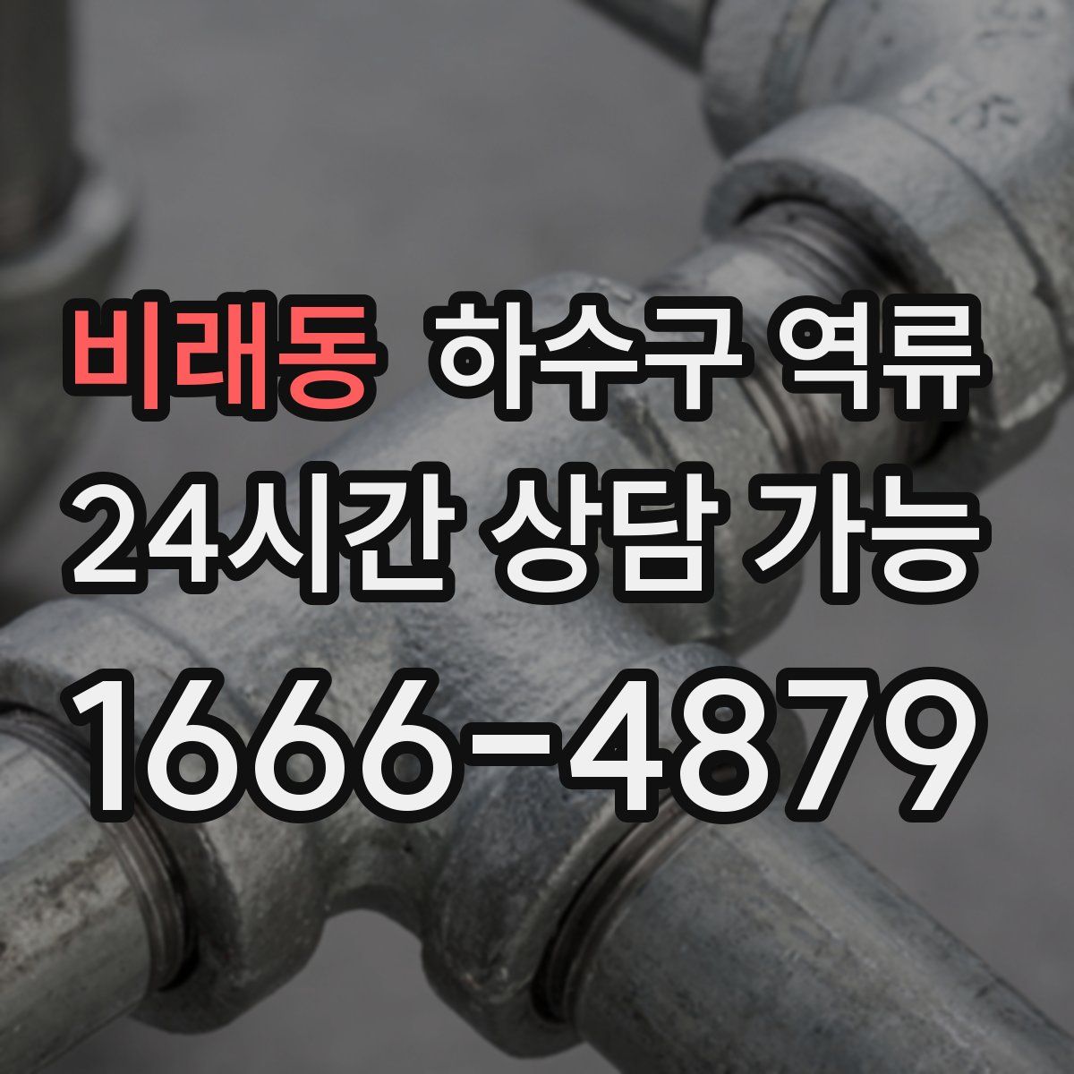 비래동 하수구 역류