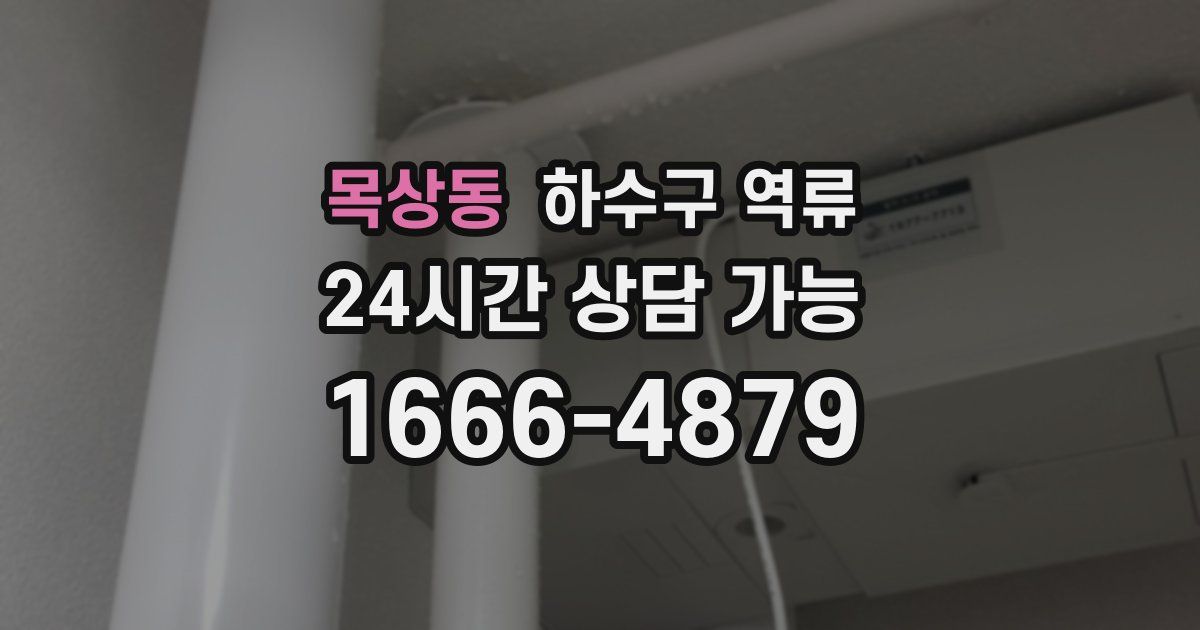 목상동 하수구 역류