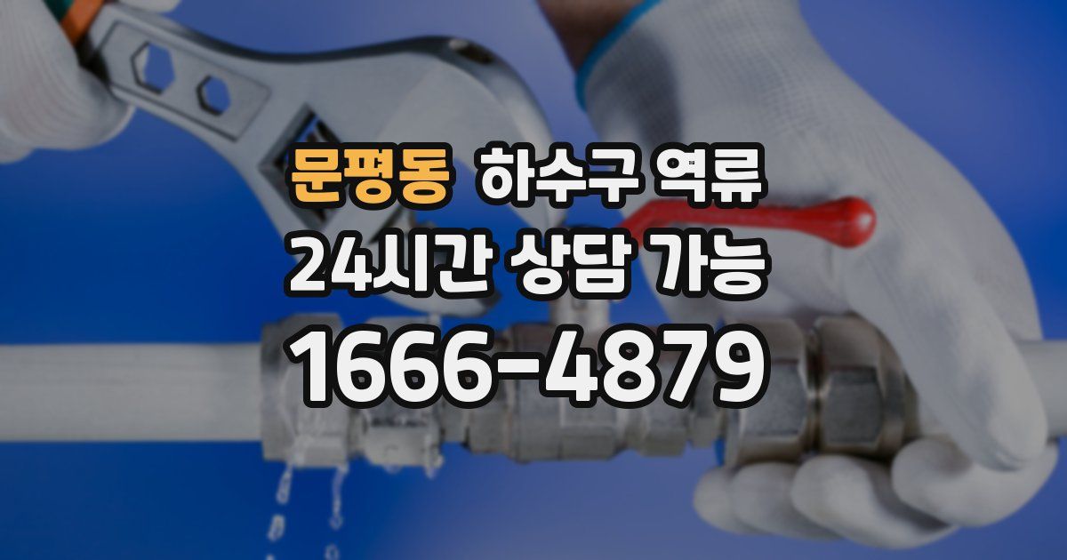 문평동 하수구 역류