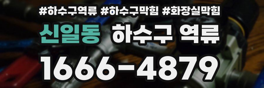 신일동 하수구 역류