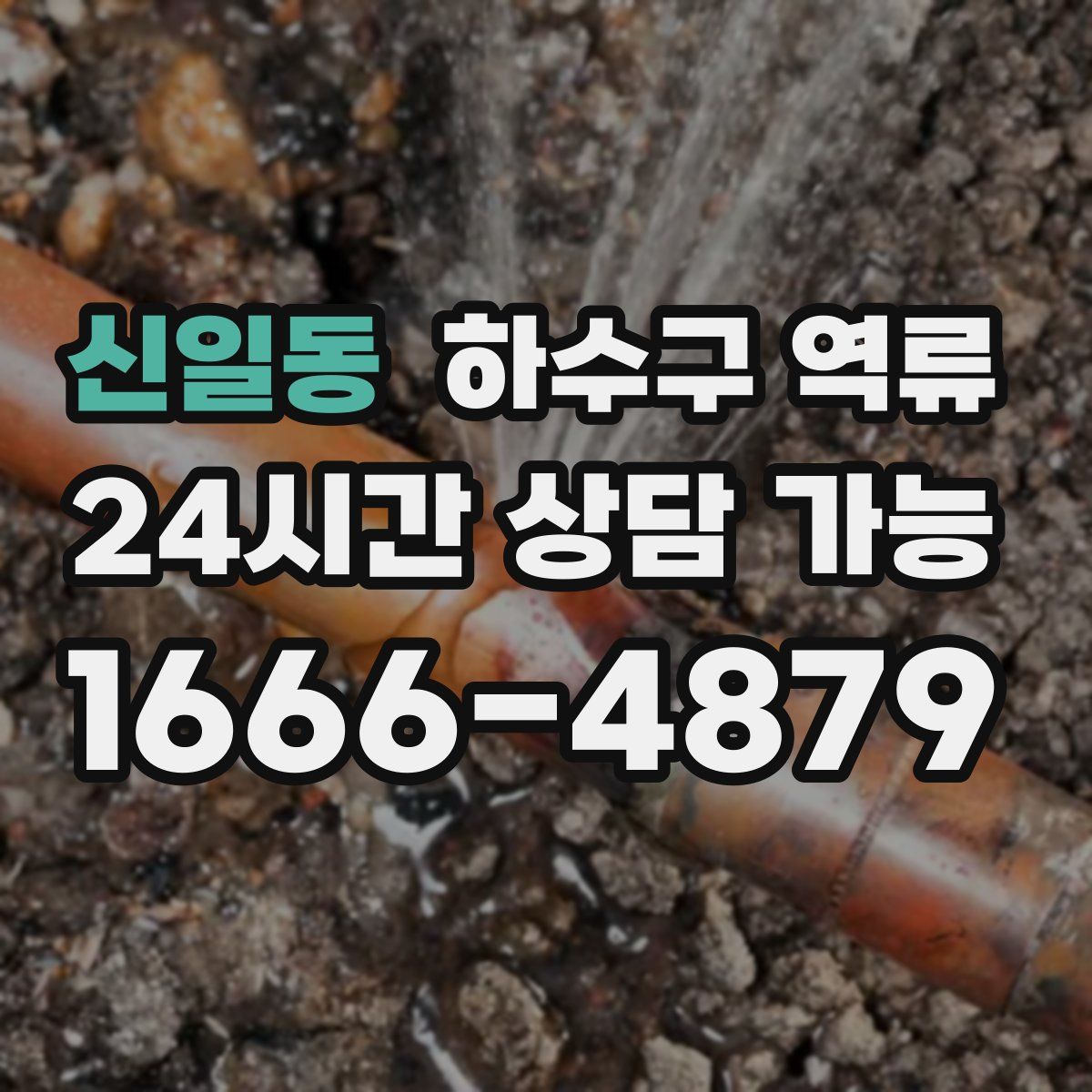 신일동 하수구 역류