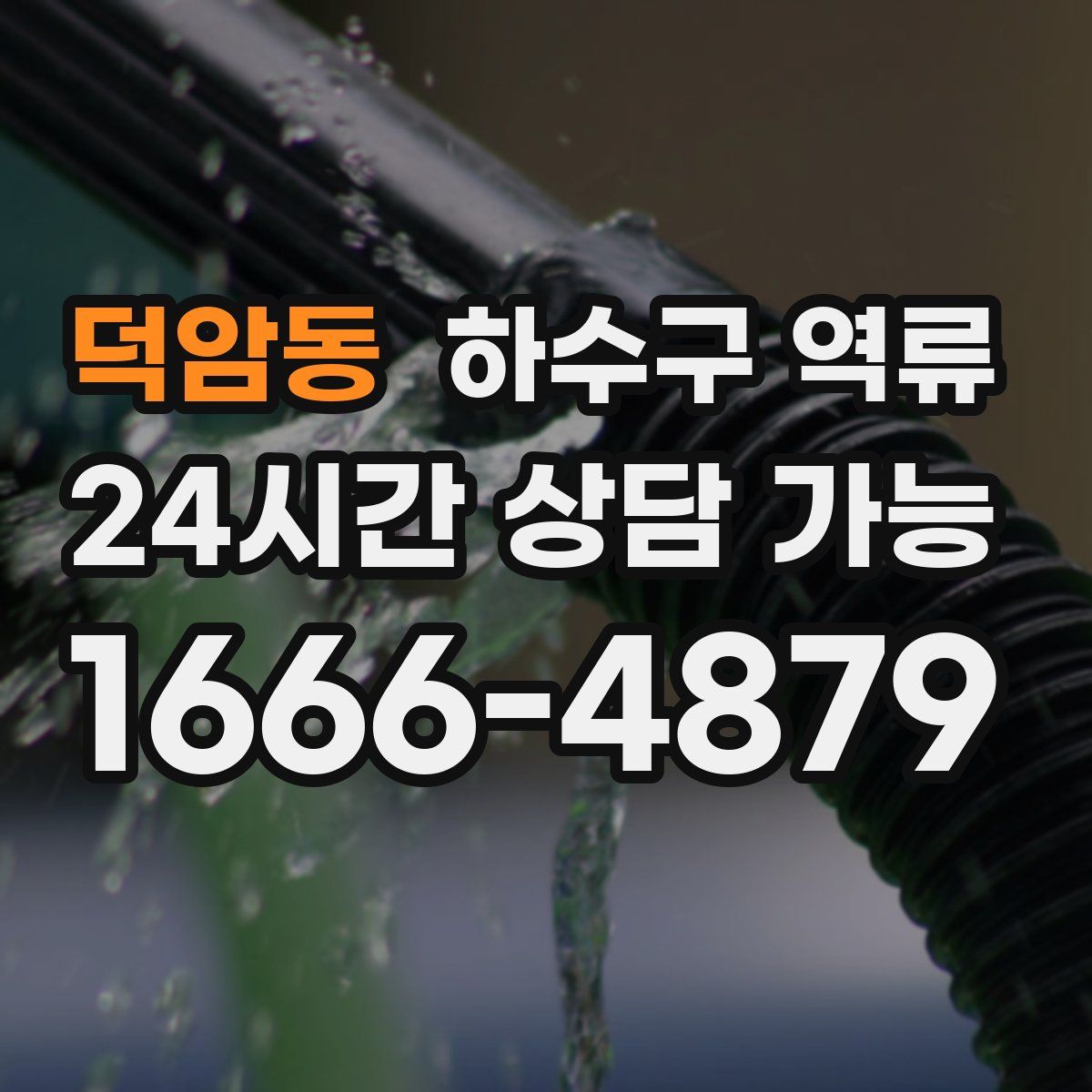 덕암동 하수구 역류