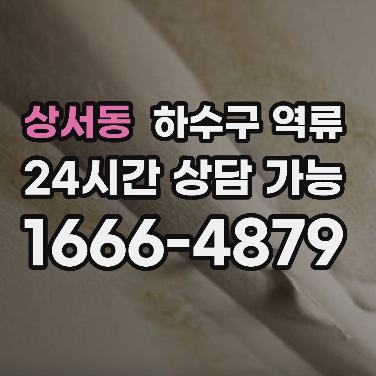 상서동 하수구 역류